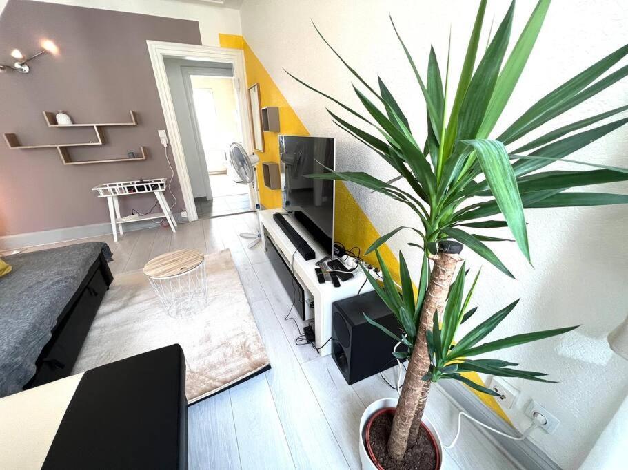 Lumiere Secrete Mulhouse Centre Parking Tram Apartamento Exterior foto